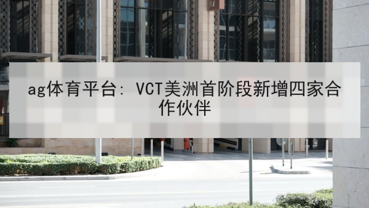 ag体育平台: VCT美洲首阶段新增四家合作伙伴